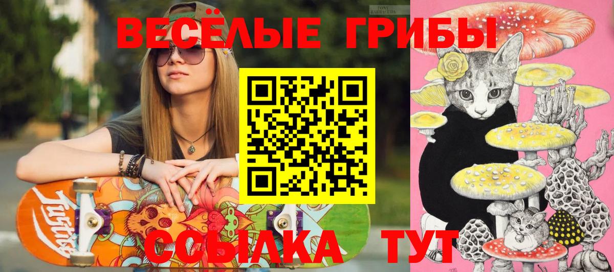 Галлюциногенные грибы MAGIC MUSHROOMS  Вход с VPN  Галлюциногенные грибы Magic Shrooms  Лыткарино 