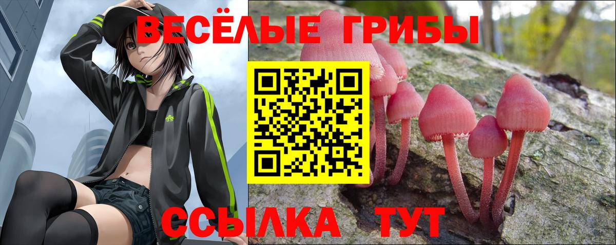 Псилоцибиновые грибы MAGIC MUSHROOMS Лыткарино